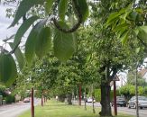 Vente maison à Marcq-en-Barœul - Ref.VM001 - Image 5