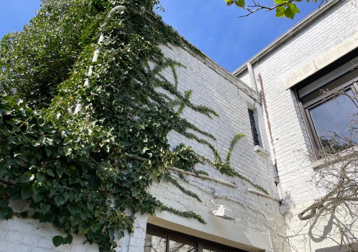 Vente maison à Marcq-en-Barœul - Ref.VM031 - Image 1