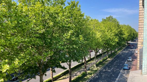 Vaste appartement vendu loué secteur Clémenceau