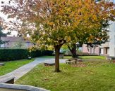 Vente appartement à Marcq-en-Barœul - Ref.VA030 - Image 6